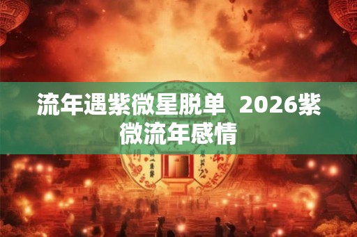 流年遇紫微星脱单  2026紫微流年感情