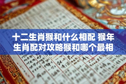 十二生肖猴和什么相配 猴年生肖配对攻略猴和哪个最相配