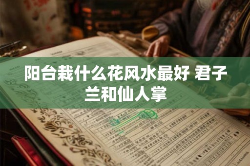 阳台栽什么花风水最好 君子兰和仙人掌