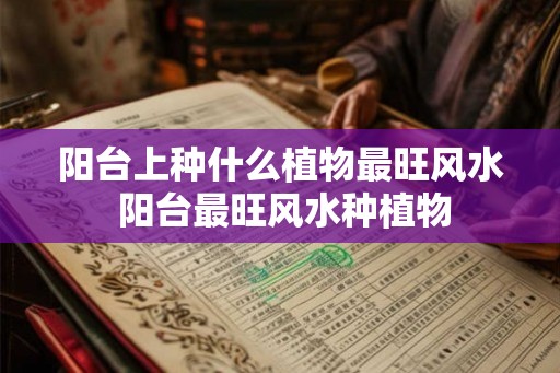 阳台上种什么植物最旺风水 阳台最旺风水种植物