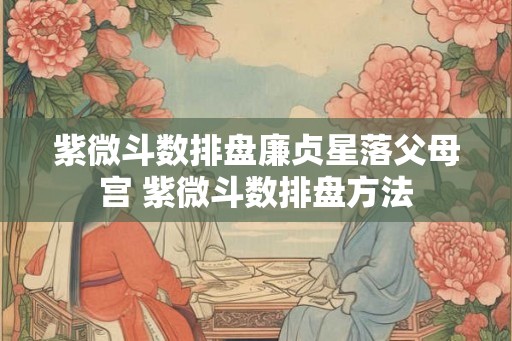 紫微斗数排盘廉贞星落父母宫 紫微斗数排盘方法