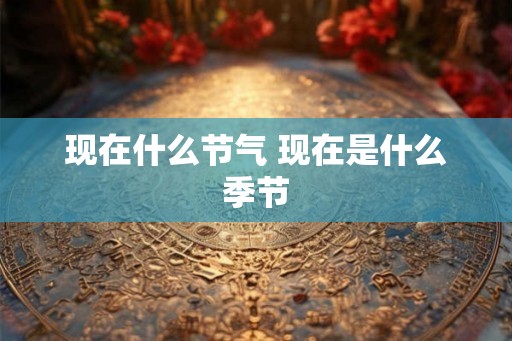 现在什么节气 现在是什么季节 现在什么节气 现在是什么季节