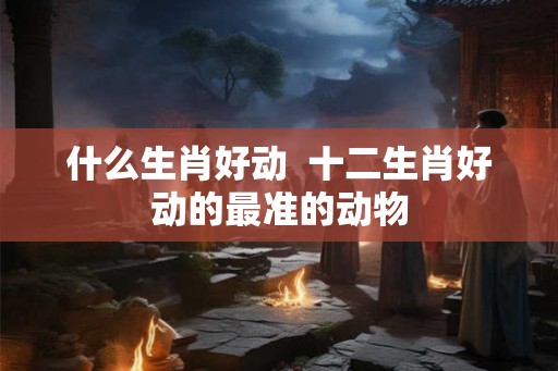 什么生肖好动  十二生肖好动的最准的动物