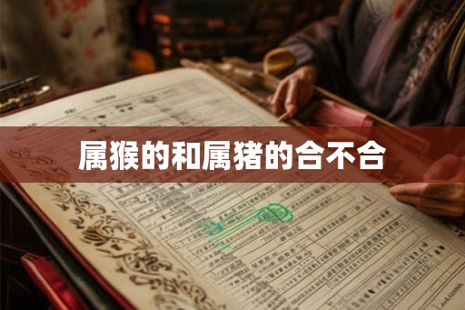 属猴的和属猪的合不合