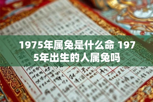 1975年属兔是什么命 1975年出生的人属兔吗