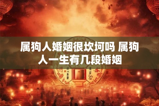 属狗人婚姻很坎坷吗 属狗人一生有几段婚姻