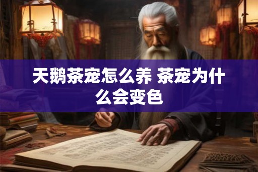 天鹅茶宠怎么养 茶宠为什么会变色