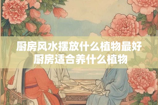 厨房风水摆放什么植物最好 厨房适合养什么植物