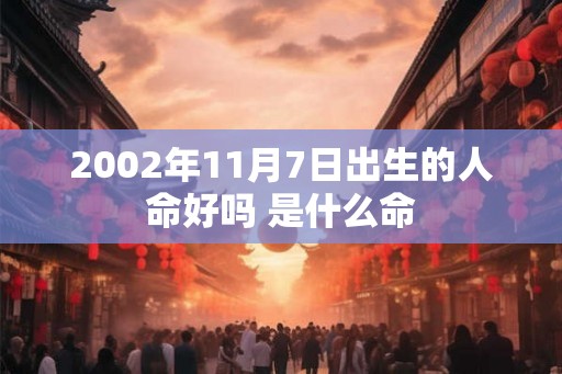 2002年11月7日出生的人命好吗 是什么命