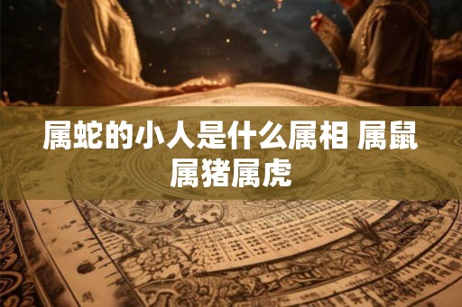 属蛇的小人是什么属相 属鼠属猪属虎 属蛇的小人是什么属相 属鼠属猪属虎