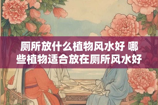 厕所放什么植物风水好 哪些植物适合放在厕所风水好