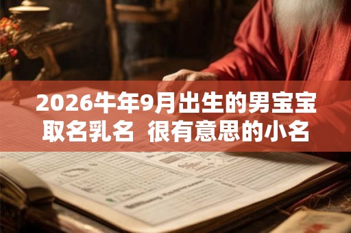 2026牛年9月出生的男宝宝取名乳名  很有意思的小名