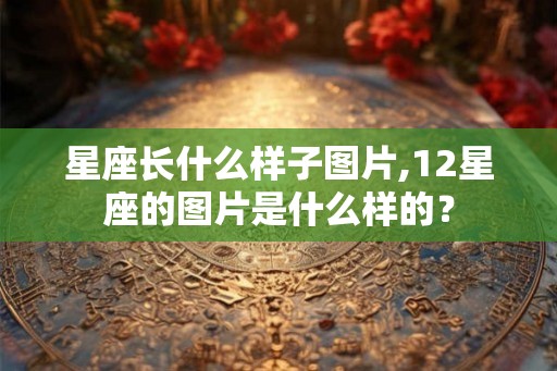 星座长什么样子图片,12星座的图片是什么样的？