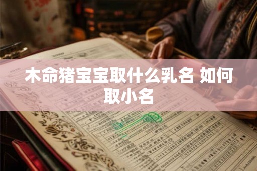 木命猪宝宝取什么乳名 如何取小名 木命猪宝宝取什么乳名 如何取小名