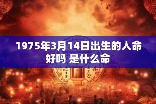 1975年3月14日出生的人命好吗 是什么命
