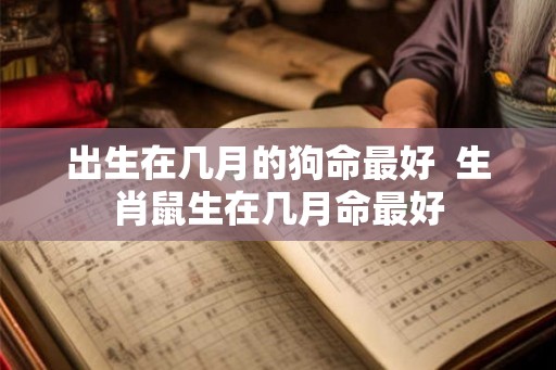 出生在几月的狗命最好 生肖鼠生在几月命最好 出生在几月的狗命最好 生肖鼠生在几月命最好