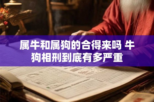 属牛和属狗的合得来吗 牛狗相刑到底有多严重