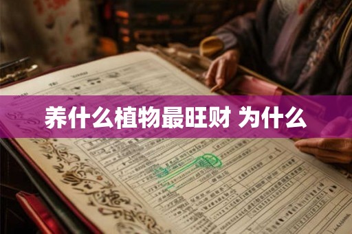养什么植物最旺财 为什么