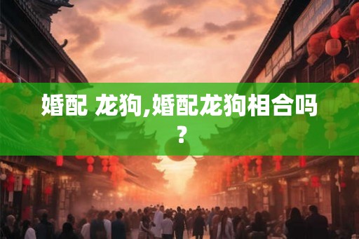 婚配 龙狗,婚配龙狗相合吗？