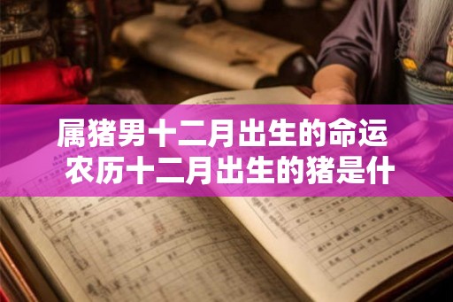属猪男十二月出生的命运  农历十二月出生的猪是什么命