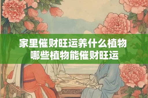 家里催财旺运养什么植物 哪些植物能催财旺运
