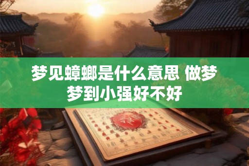 梦见蟑螂是什么意思 做梦梦到小强好不好
