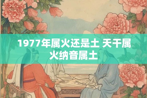 1977年属火还是土 天干属火纳音属土