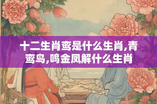十二生肖鸾是什么生肖,青鸾鸟,鸣金凤解什么生肖