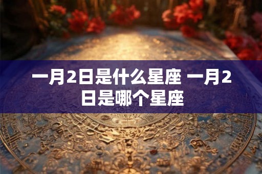 一月2日是什么星座 一月2日是哪个星座