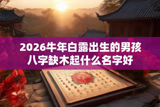 2026牛年白露出生的男孩八字缺木起什么名字好 2026牛年白露出生的男孩八字缺木起什么名字好