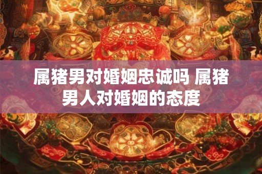 属猪男对婚姻忠诚吗 属猪男人对婚姻的态度