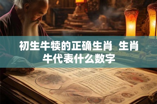 初生牛犊的正确生肖 生肖牛代表什么数字 初生牛犊的正确生肖 生肖牛代表什么数字