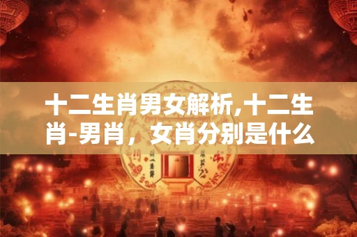十二生肖男女解析,十二生肖-男肖，女肖分别是什么呢？