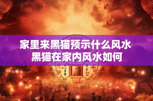 家里来黑猫预示什么风水 黑猫在家内风水如何 家里来黑猫预示什么风水 黑猫在家内风水如何