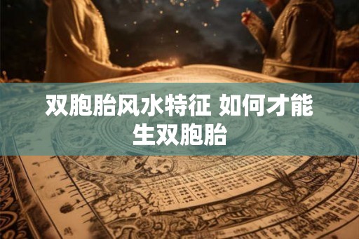 双胞胎风水特征 如何才能生双胞胎