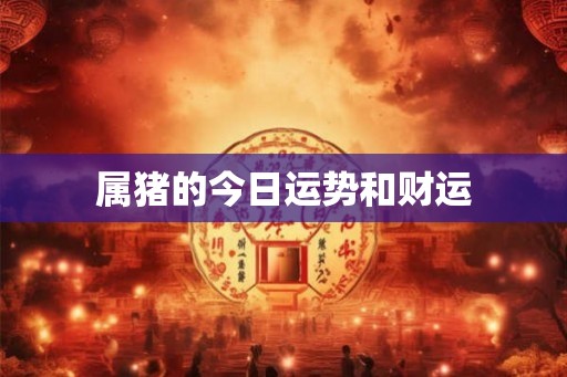 属猪的今日运势和财运