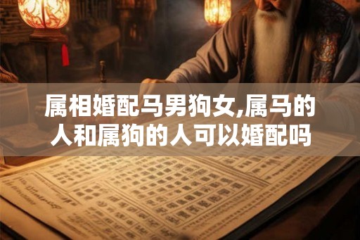 属相婚配马男狗女,属马的人和属狗的人可以婚配吗