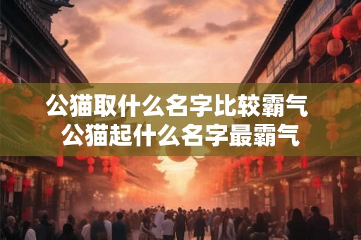 公猫取什么名字比较霸气 公猫起什么名字最霸气 公猫取什么名字比较霸气 公猫起什么名字最霸气