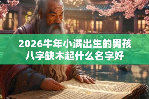 2026牛年小满出生的男孩八字缺木起什么名字好