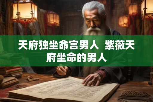 天府独坐命宫男人  紫薇天府坐命的男人