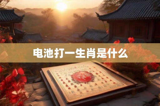 电池打一生肖是什么