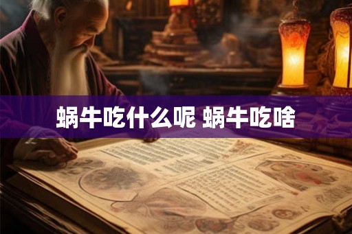 蜗牛吃什么呢 蜗牛吃啥