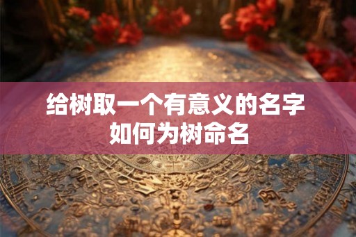 给树取一个有意义的名字 如何为树命名