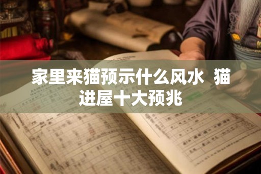 家里来猫预示什么风水  猫进屋十大预兆