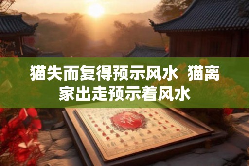 猫失而复得预示风水  猫离家出走预示着风水