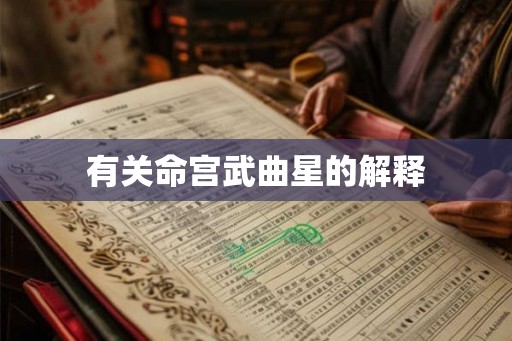 有关命宫武曲星的解释