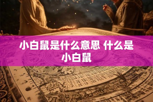小白鼠是什么意思 什么是小白鼠 小白鼠是什么意思 什么是小白鼠