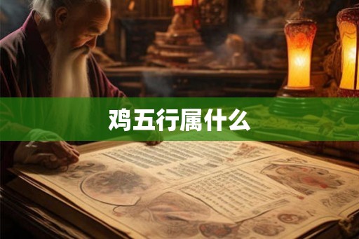 鸡五行属什么