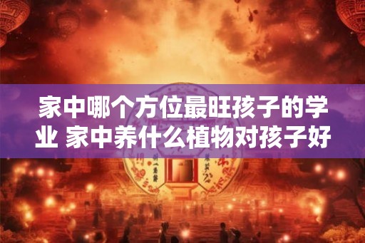 家中哪个方位最旺孩子的学业 家中养什么植物对孩子好 家中哪个方位最旺孩子的学业 家中养什么植物对孩子好