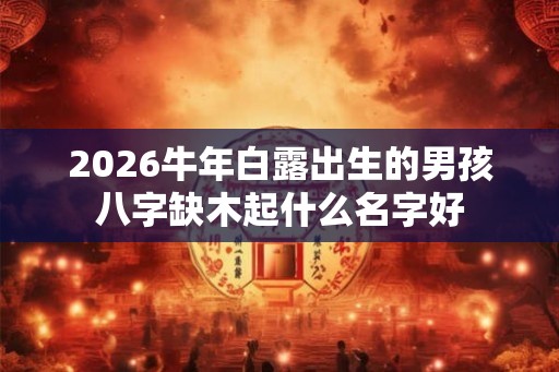 2026牛年白露出生的男孩八字缺木起什么名字好